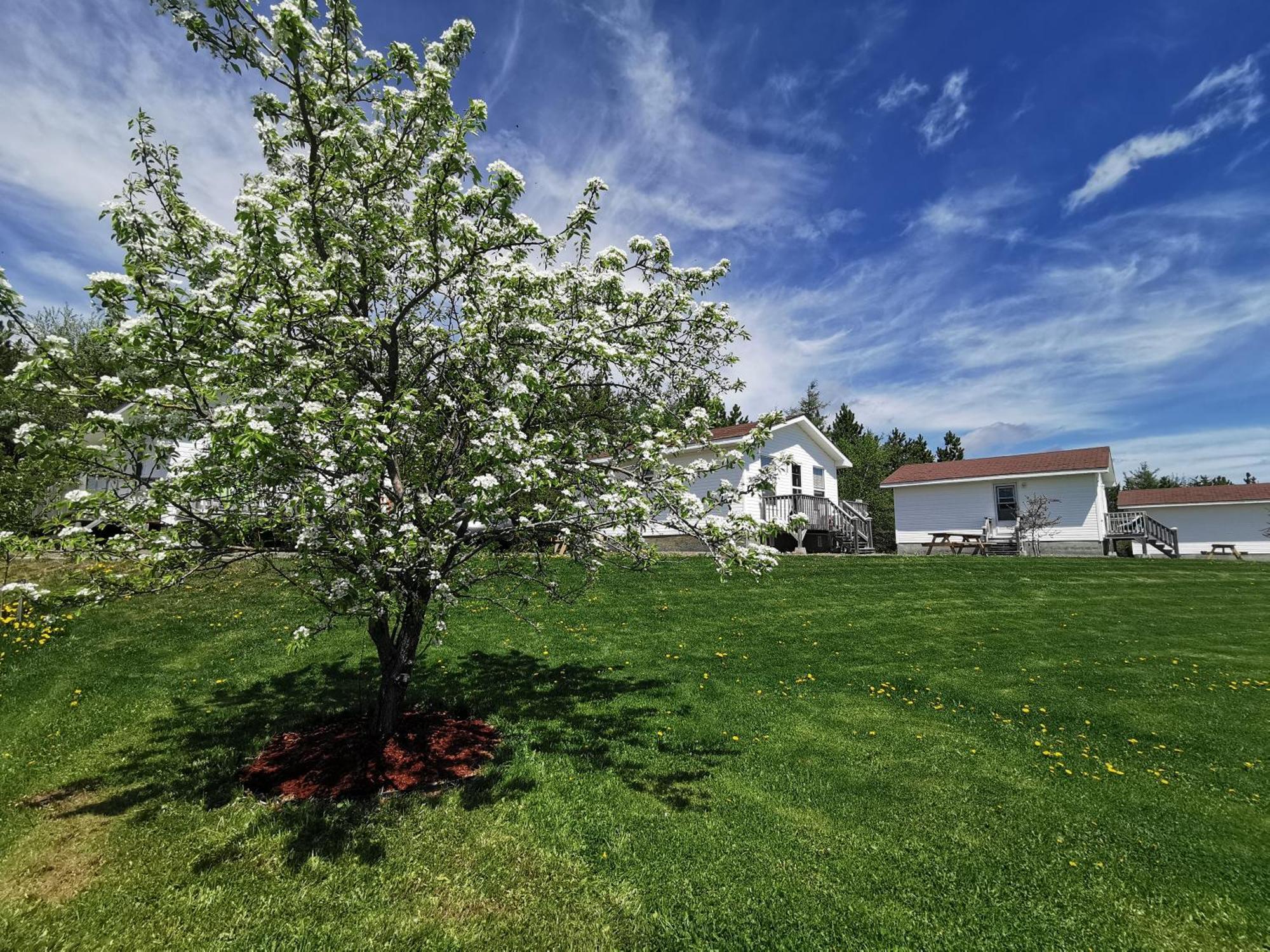 L'Ancrage B&B And Cottages Saint Louis de Kent Εξωτερικό φωτογραφία